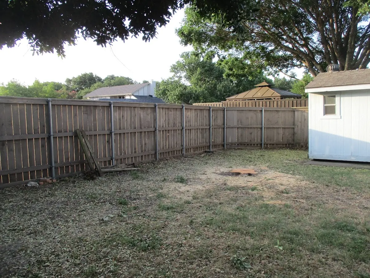 Cleared yard after professional tree removal in Plymouth Meeting